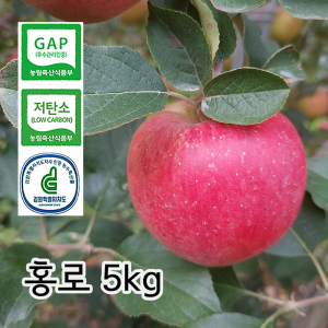 [산지직송]홍로 5kg 청정 고랭지 꼭대기농원 사과